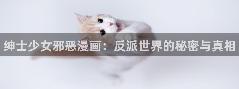 再漫画官网